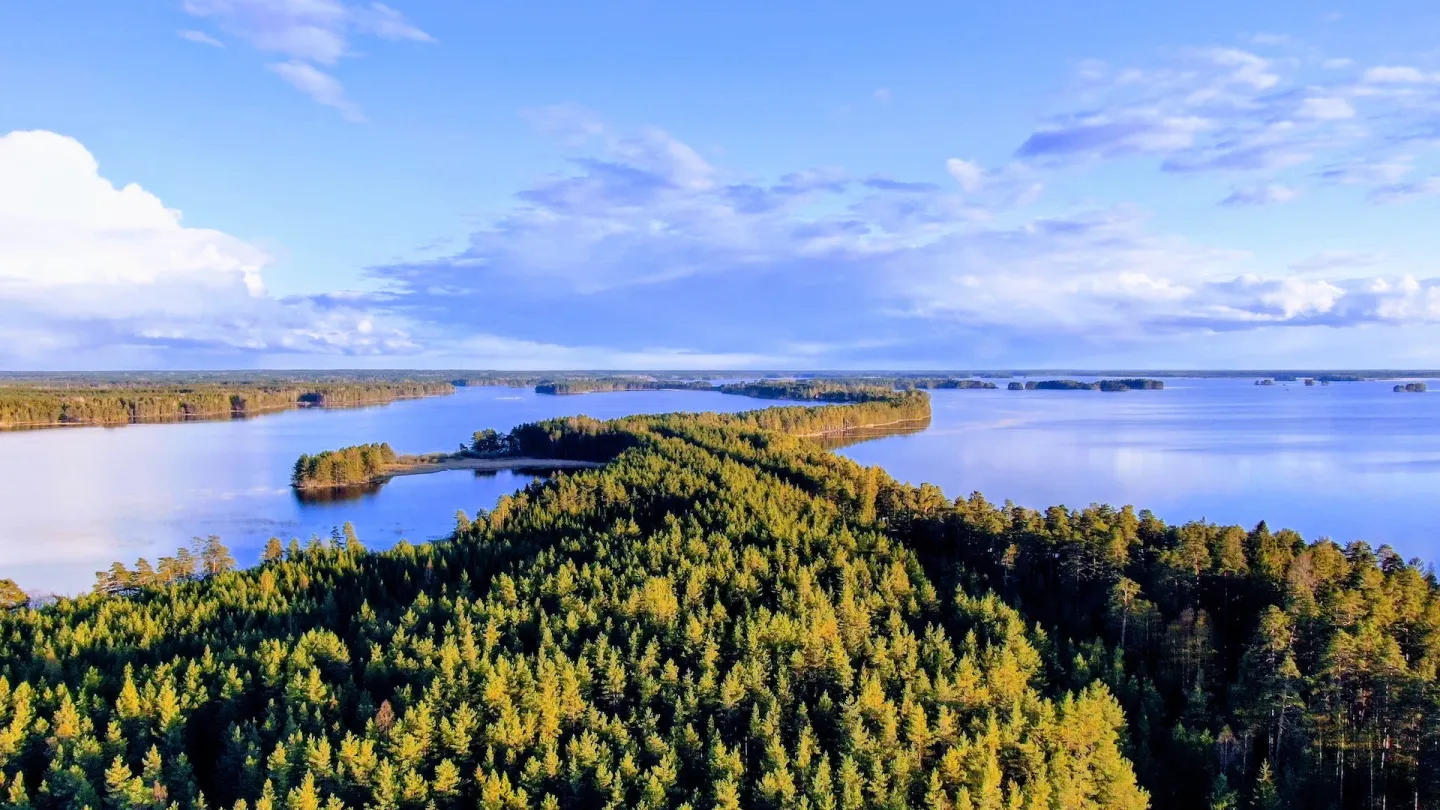 Vy över skog och vatten en fin dag