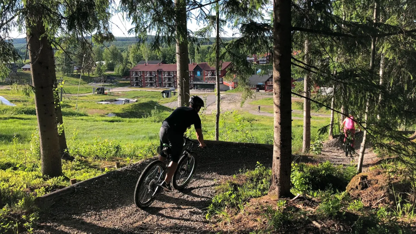 Man på cykel på väg ner för en skogsstig 