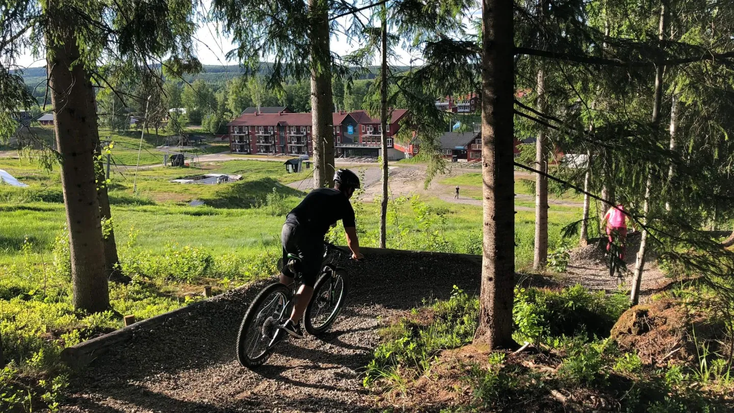 Downhillcykling i Kungsberget.