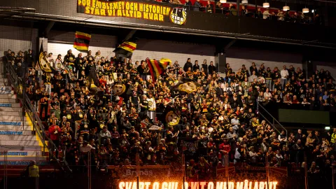 Publik på en hockeyarena