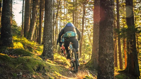 En person cyklar i skogen