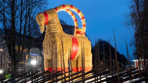 Gävlebocken upplyst en kväll