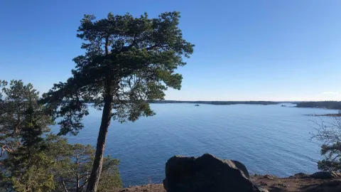 Utsikt över havet från en klippa