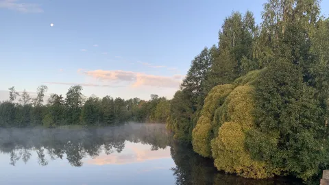 En å flyter lugnt genom naturen en fin höstdag