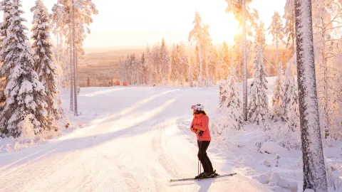 Utförsåkare vilar sig i skidbacken med motljus