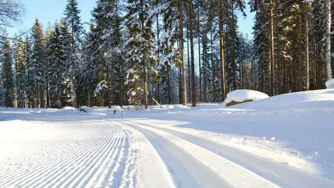 Härligt tomt längdspår en fin vinterdag 