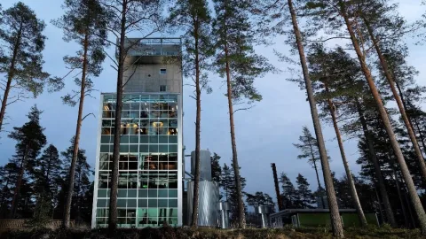 Högt torn med glasfönster mellan gest satta träd