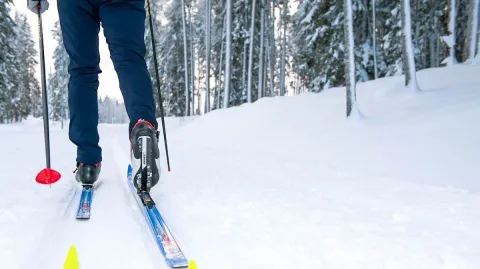 Längdåkare i ett längdspår