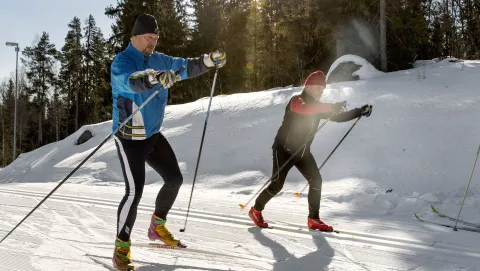 Två skidåkare i längdspåret en fin vinterdag