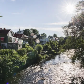 Höstsol på stor fin gammal byggnad i grönska