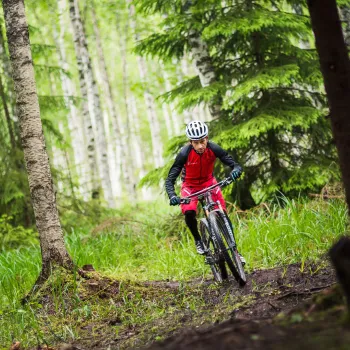 MTB arena i form av en skogsstig med en cyklist på