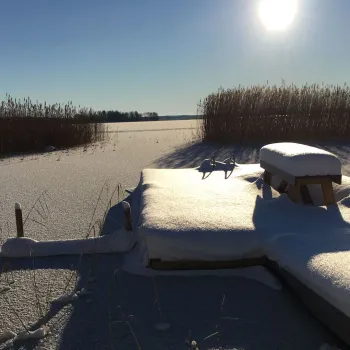 Privat stuga Naturskönt boende i sommarhagen, Sandviken