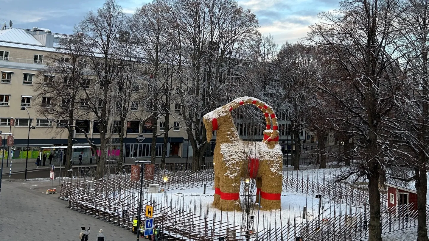 Gävlebocken dagtid